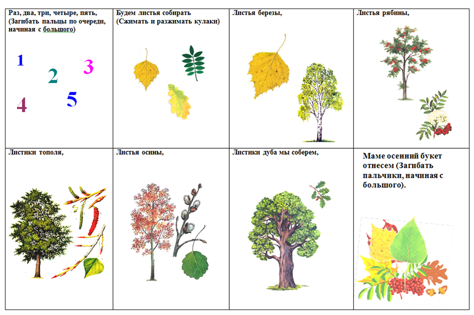 Схема описания осени. Мнемотаблица стих про дерево. Мнемотаблицы деревья для дошкольников. Задания на тему деревья. Стих по мнемотаблице про осень.
